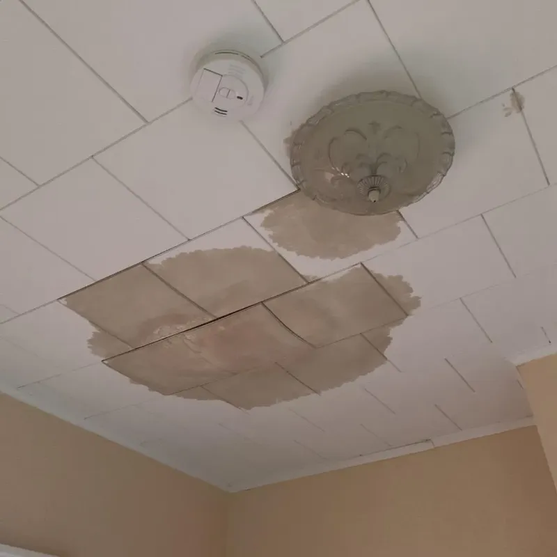 Ceiling Water Damage Repair in Tinley Park, IL