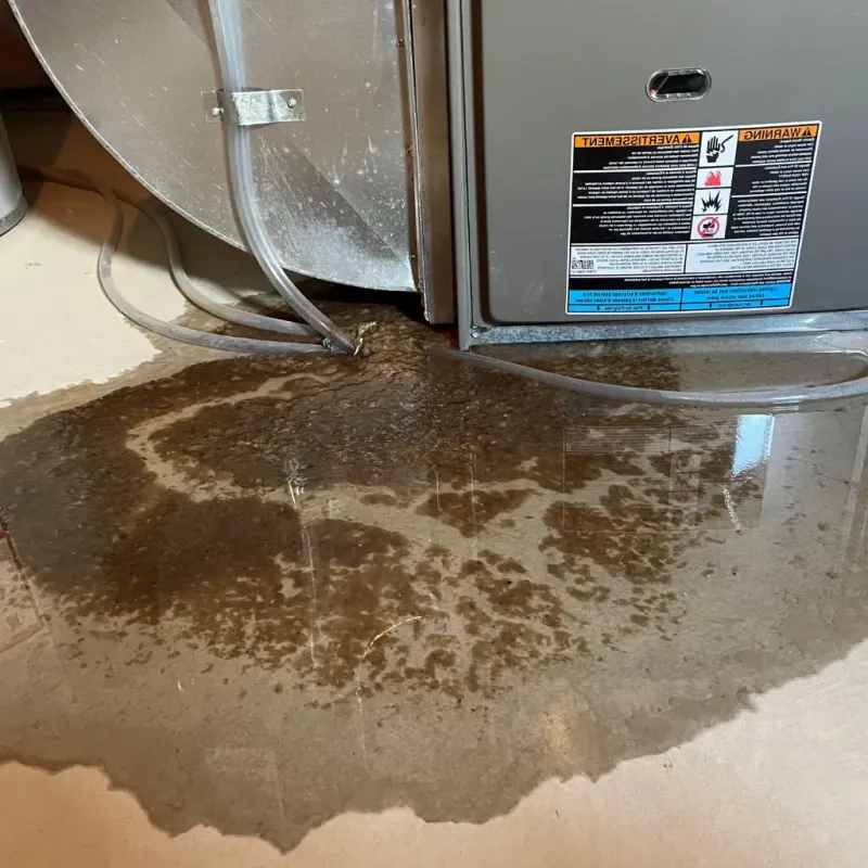 Pipe Burst and Leak Restoration in Tinley Park, IL